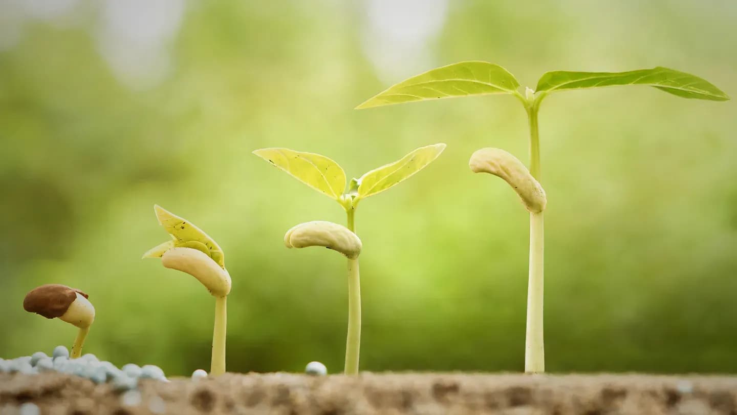 Contentmarketing: wat is dat eigenlijk?