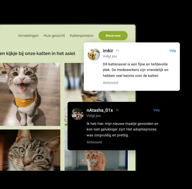 Website van een kattenasiel met foto’s en socialmediaberichten van tevreden bezoekers.