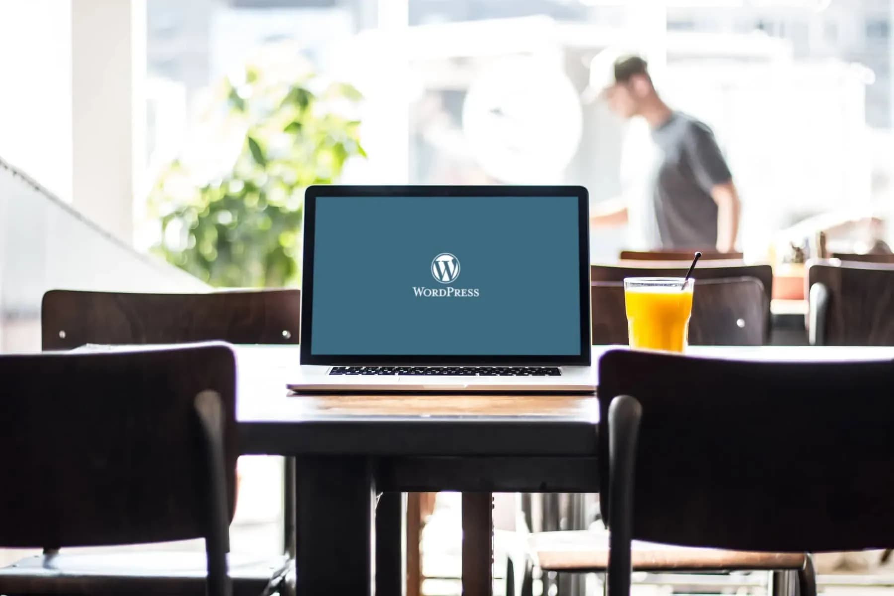 wat zijn wordpress plugins