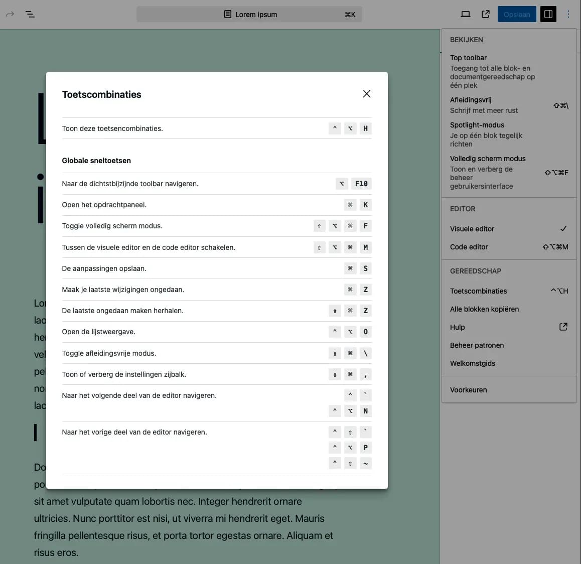 wordpress-blokeditor-toetscombinaties.png