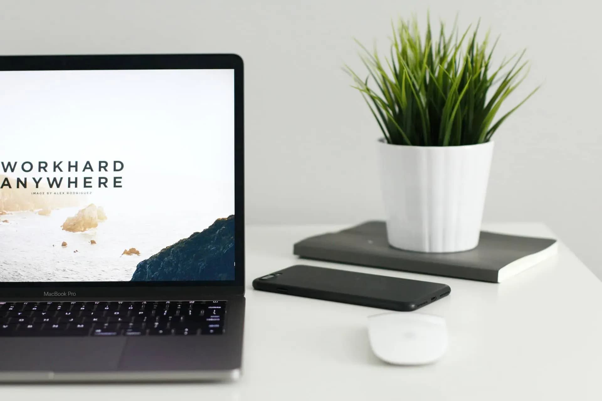 wordpress thema kopen
