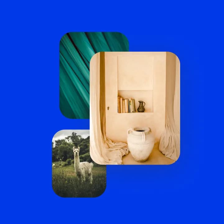 Drie voorbeeldfoto's: een lama in een grasveld, groene stof in plooien en een nis met een aardewerken vaas en boeken.