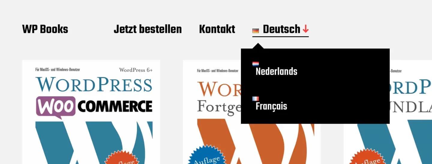 Voorbeeld van een meertalige WordPress website