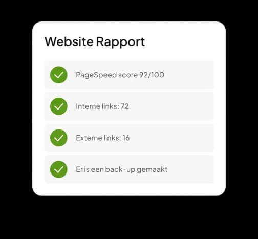 Website-rapport met PageSpeed-score, interne links, externe links en back-upstatus.