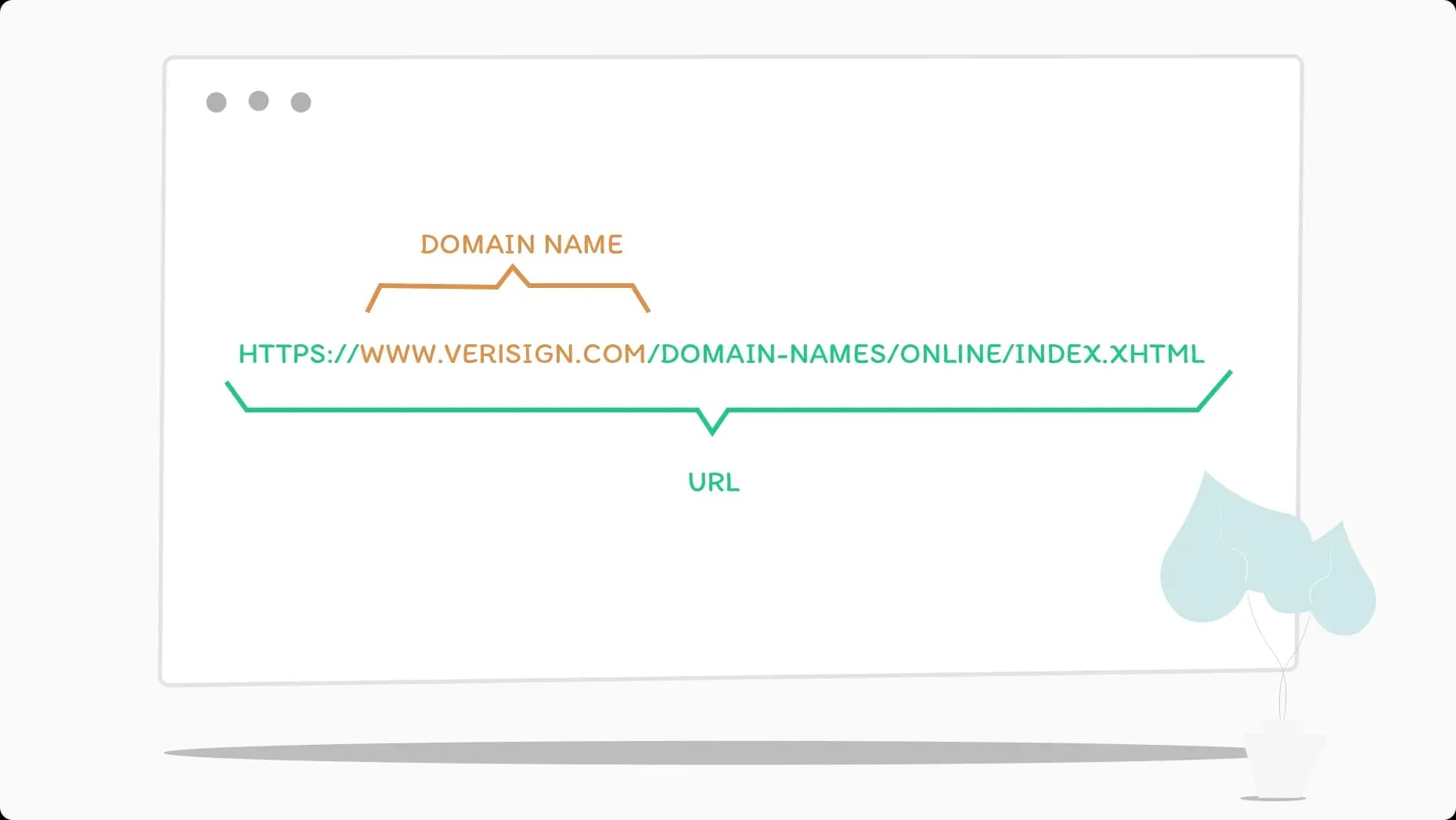 Verschil domeinnaam url