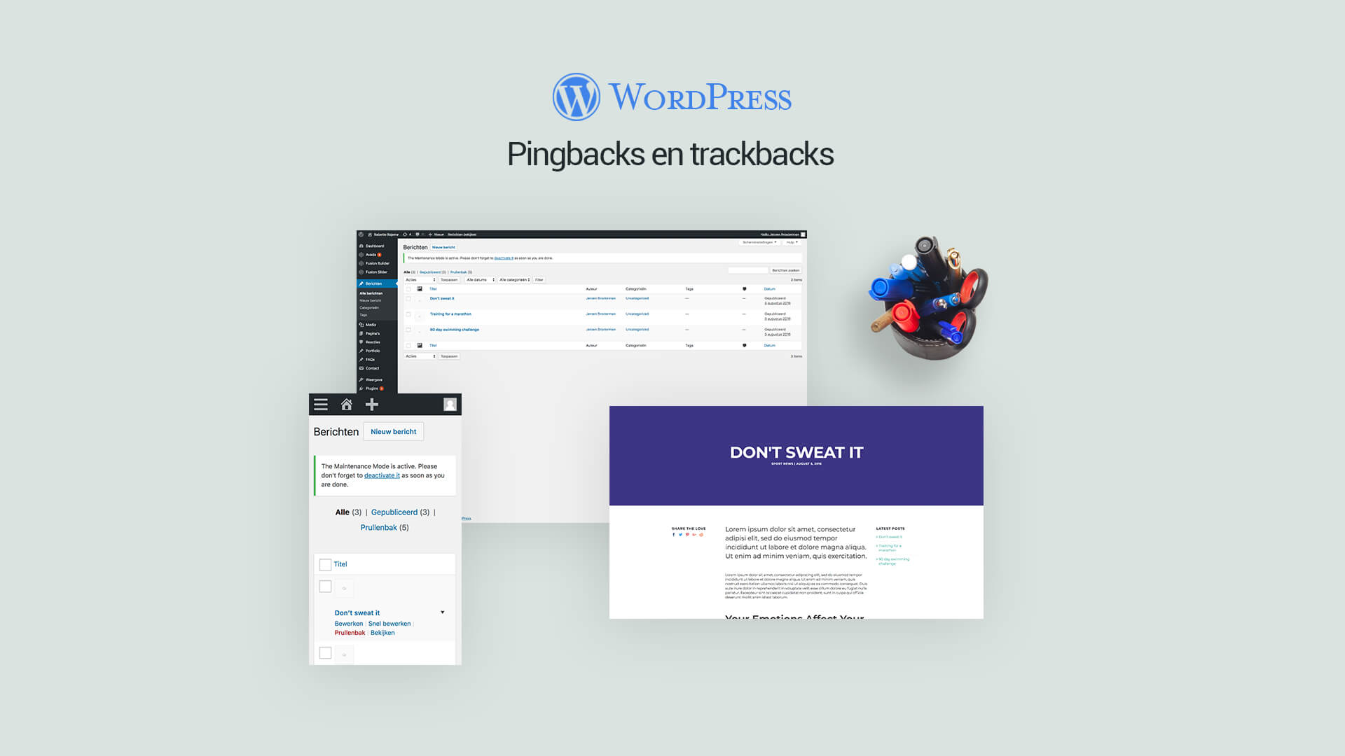 trackbacks en pingbacks