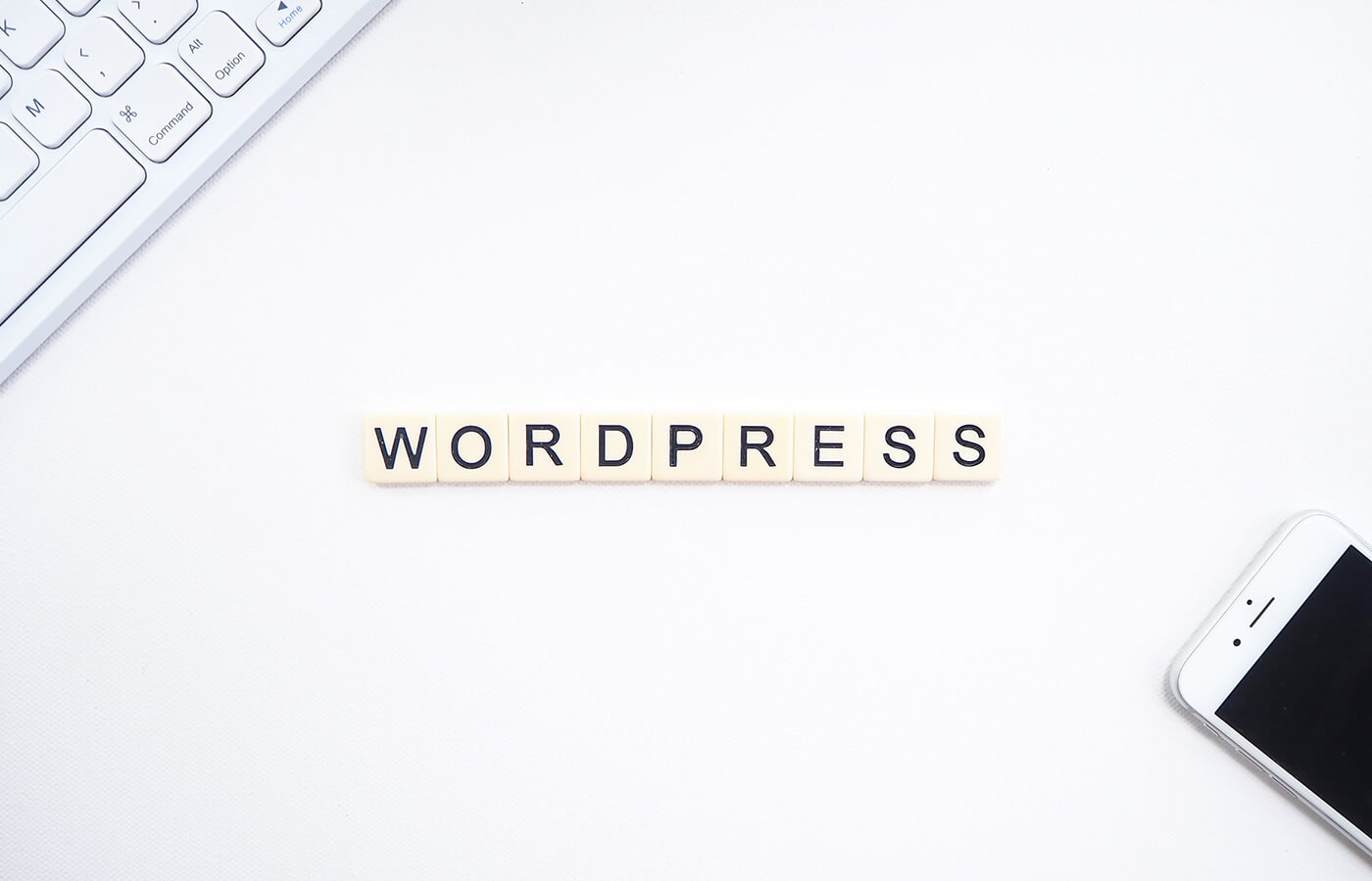 WordPress