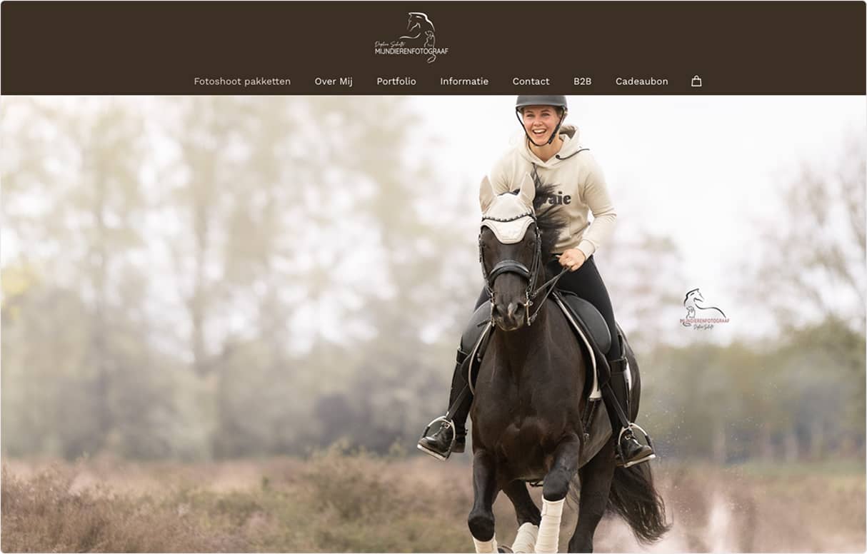 Webhelden screenshot op desktop en mobiel