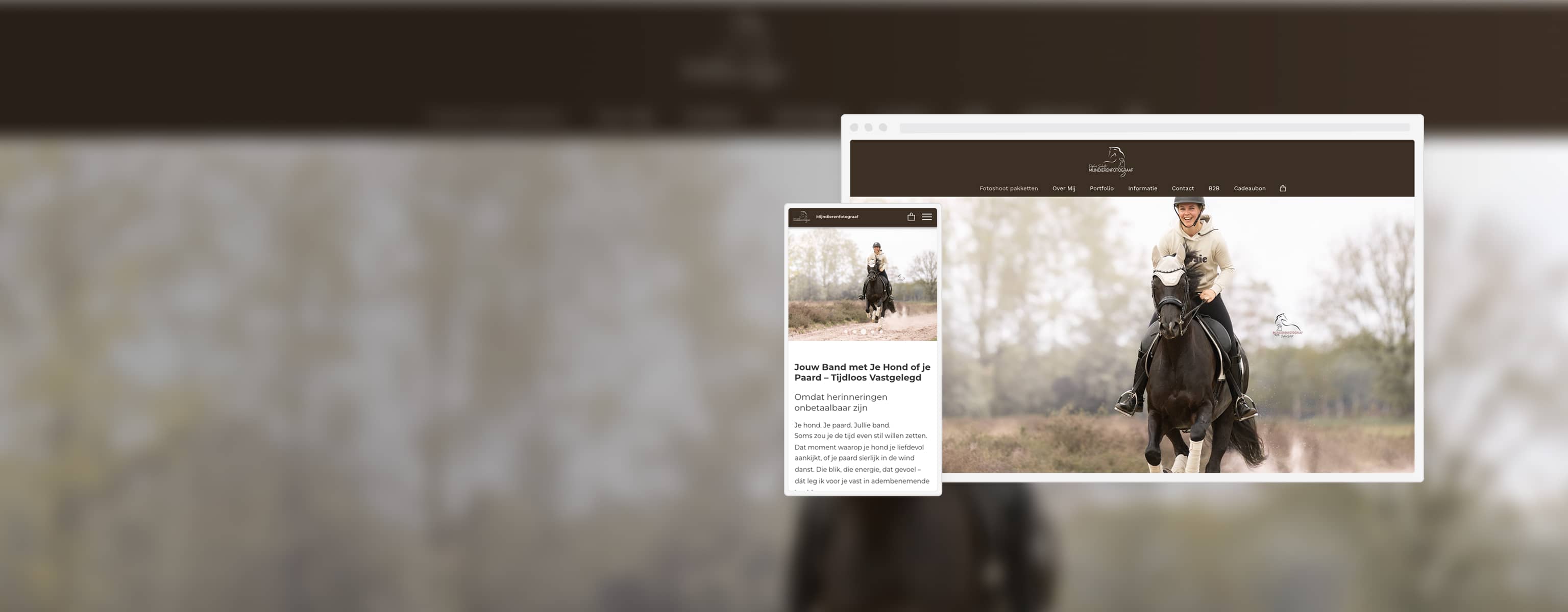 De website van de maand